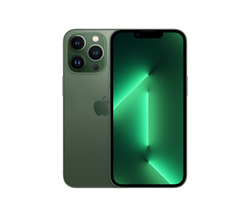 13 Pro 